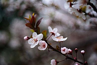 奇葩游戏人创业：会计转做网吧大神，用神器日入过万？_Y3编辑器